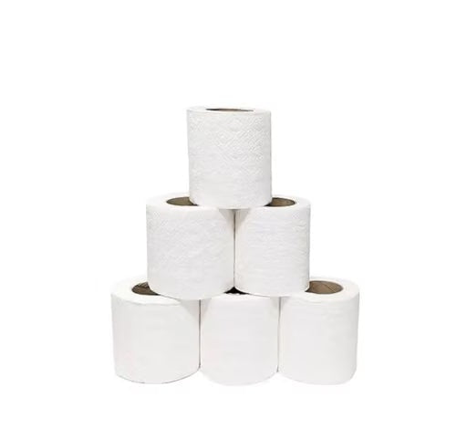 La-Sani 2 Ply Ultra-Soft Toilet Paper Rolls 6 Pack 1110 Pulls